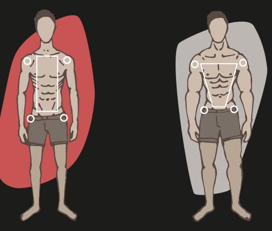 endomorph six pack