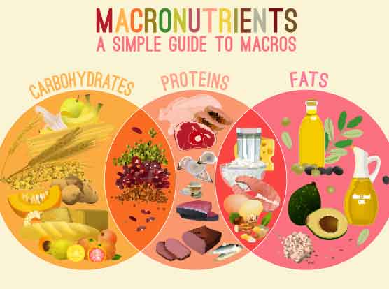 WHAT ARE MACROS?