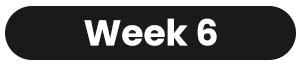 wk6